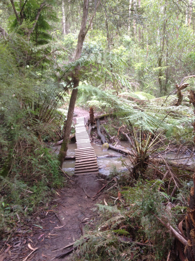 Small wooden bridge across a stream