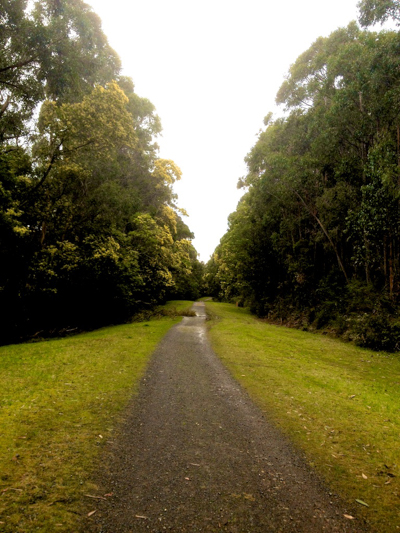 Olinda Creek Walking Track