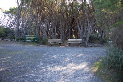Telegraph Junction