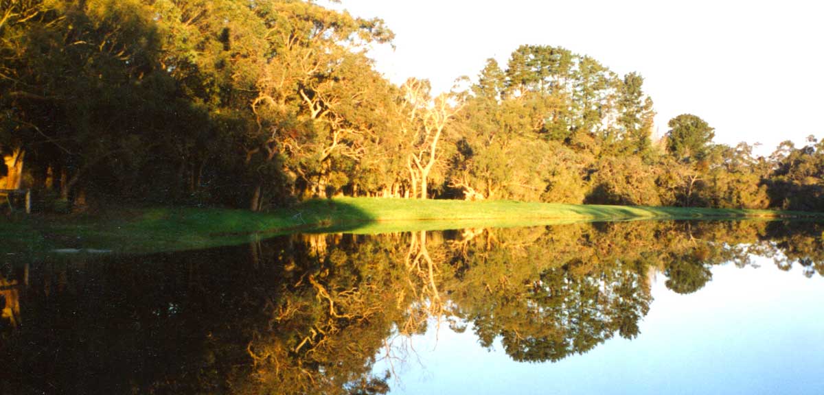 Reflections