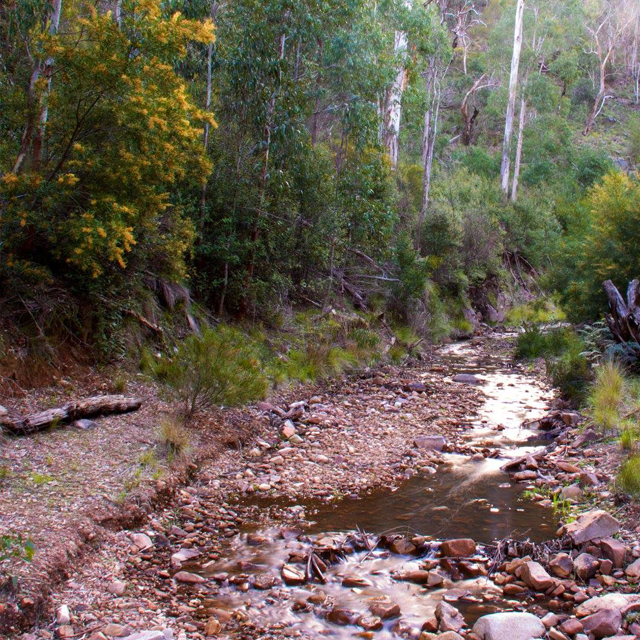 Stoney Riverbed